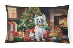 Cozy Christmas Throw Pillow Throw Pillow for Indoor Couch Bed Outdoor Patio Washable, Chinese Crested 2632,12Hx16W