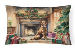 Cozy Christmas Throw Pillow Throw Pillow for Indoor Couch Bed Outdoor Patio Washable, Chesapeake Bay Retriever 2629,12Hx16W