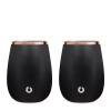 Stainless Steel Grand Pinot Wine Glass, Set of 2 - Black