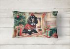 Cozy Christmas Throw Pillow Throw Pillow for Indoor Couch Bed Outdoor Patio Washable, English Cocker Spaniel 2650,12Hx16W
