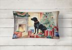 Cozy Christmas Throw Pillow Throw Pillow for Indoor Couch Bed Outdoor Patio Washable, Labrador Retriever 2694,12Hx16W