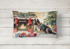 Cozy Christmas Throw Pillow Throw Pillow for Indoor Couch Bed Outdoor Patio Washable, Norwegian Buhund 2711,12Hx16W