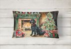 Cozy Christmas Throw Pillow Throw Pillow for Indoor Couch Bed Outdoor Patio Washable, Portuguese Water Dog 2729,12Hx16W