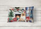 Cozy Christmas Throw Pillow Throw Pillow for Indoor Couch Bed Outdoor Patio Washable, Pomeranian 2722,12Hx16W