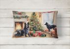 Cozy Christmas Throw Pillow Throw Pillow for Indoor Couch Bed Outdoor Patio Washable, Belgian Sheepdog 2608,12Hx16W