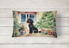 Cozy Christmas Throw Pillow Throw Pillow for Indoor Couch Bed Outdoor Patio Washable, Poodle 2724,12Hx16W