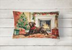 Cozy Christmas Throw Pillow Throw Pillow for Indoor Couch Bed Outdoor Patio Washable, Labrador Retriever 2695,12Hx16W