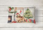 Cozy Christmas Throw Pillow Throw Pillow for Indoor Couch Bed Outdoor Patio Washable, Otterhound 2718,12Hx16W