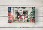 Cozy Christmas Throw Pillow Throw Pillow for Indoor Couch Bed Outdoor Patio Washable, French Bulldog 2660,12Hx16W