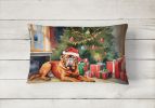 Cozy Christmas Throw Pillow Throw Pillow for Indoor Couch Bed Outdoor Patio Washable, Dogue de Bordeaux 2648,12Hx16W