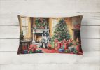 Cozy Christmas Throw Pillow Throw Pillow for Indoor Couch Bed Outdoor Patio Washable, Keeshond 2690,12Hx16W