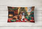 Cozy Christmas Throw Pillow Throw Pillow for Indoor Couch Bed Outdoor Patio Washable, Boxer 2621,12Hx16W