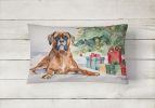Waiting on Christmas Throw Pillow Throw Pillow for Indoor Couch Bed Outdoor Patio Washable, Boxer Fawn 1294,12Hx16W